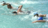 swimmers